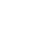 Alpine Eagle GmbH logo