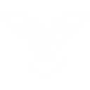 Augur Initiative Ltd logo