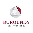 Burgundy Diamond logo