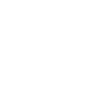 HyLight logo