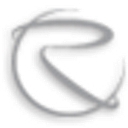 RAND WORLDWIDE SUBSIDIARY INC logo
