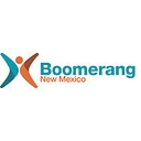 STEM Boomerang logo
